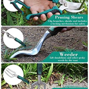 FiveJoy Garden Tool Set, 11 Piece Aluminum Alloy Hand Tool Starter Kit with Garden Bag, Outdoor Tool, Heavy Duty Gardening Work Set with Ergonomic Handle, Gardening Tools-Gift for Women and Men