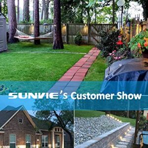 SUNVIE 12W Low Voltage LED Landscape Lights with Connectors, Outdoor 12V Super Warm White (900LM) Waterproof Garden Pathway Lights Wall Tree Flag Spotlights with Spike Stand (12 Pack with Connector)