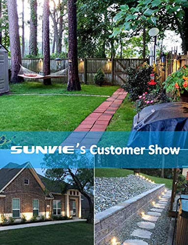 SUNVIE 12W Low Voltage LED Landscape Lights with Connectors, Outdoor 12V Super Warm White (900LM) Waterproof Garden Pathway Lights Wall Tree Flag Spotlights with Spike Stand (12 Pack with Connector)