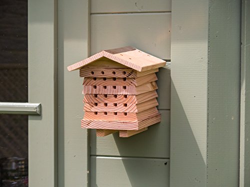 Wildlife World Interactive Wooden Bee House - Pollinator Bee Management System