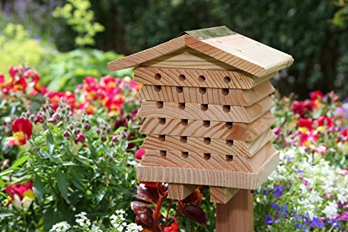 Wildlife World Interactive Wooden Bee House - Pollinator Bee Management System