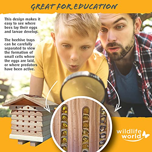 Wildlife World Interactive Wooden Bee House - Pollinator Bee Management System