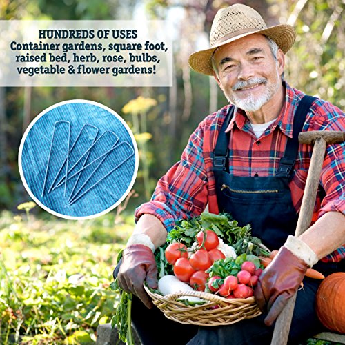 100 6-Inch Garden Landscape Staples Stakes Pins - USA Strong Pro Quality Built to Last. Weed Barrier Fabric, Ground Cover, Soaker Hose, Lawn Drippers, Irrigation Tubing, Wireless Invisible Dog Fence…