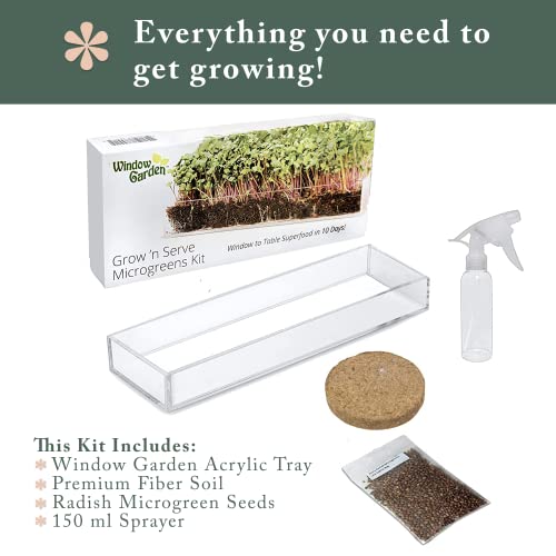 Window Garden Microgreens Grow Kit - Non GMO, Organic Microgreen Seeds, Fiber Soil, Acrylic Tray, Sprayer - Indoor & Outdoor Tools for Gardening, Seedling, Planting Superfood, Hydroponic Growing Kit