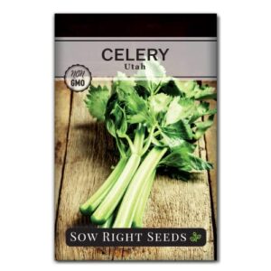 sow right seeds – tall utah celery seeds for planting – non-gmo heirloom packet with instructions to plant and grow an outdoor home vegetable garden – green leaf stalk celeriac – great gardening gift