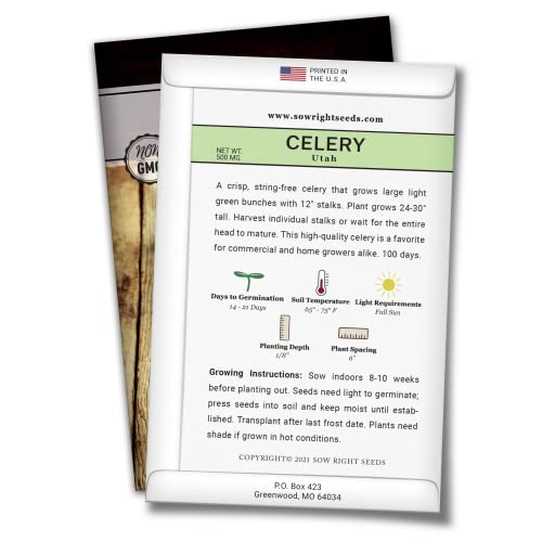 Sow Right Seeds - Tall Utah Celery Seeds for Planting - Non-GMO Heirloom Packet with Instructions to Plant and Grow an Outdoor Home Vegetable Garden - Green Leaf Stalk Celeriac - Great Gardening Gift