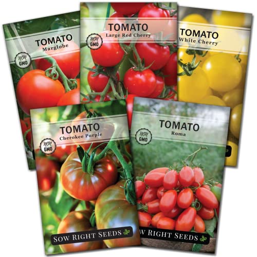 Sow Right Seeds - Classic Tomato Seed Collection for Planting - Cherokee Purple, White Cherry, Large Red Cherry, Marglobe, and Roma Tomatoes - Non-GMO Heirloom Varieties Plant a Home Vegetable Garden