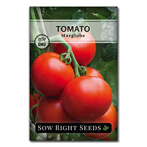 Sow Right Seeds - Classic Tomato Seed Collection for Planting - Cherokee Purple, White Cherry, Large Red Cherry, Marglobe, and Roma Tomatoes - Non-GMO Heirloom Varieties Plant a Home Vegetable Garden