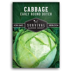 survival garden seeds – early round dutch cabbage seed for planting – packet with instructions to plant and grow green cabbages in your home vegetable garden – non-gmo heirloom variety