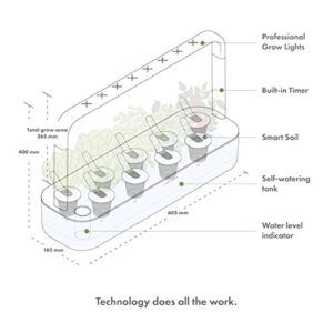 Click & Grow Indoor Herb Garden Kit with Grow Light | Easier Than Hydroponics Growing System | Smart Garden for Home Kitchen Windowsill | Vegetable & Herb Garden Starter Kit with 9 Plant pods, White