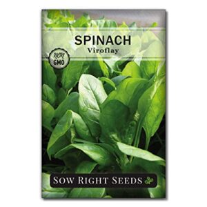 Sow Right Seeds - Viroflay Spinach Seed for Planting - Non-GMO Heirloom Packet with Instructions to Plant a Home Vegetable Garden, Great Gardening Gift (1)