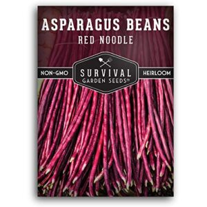 Survival Garden Seeds - Red Noodle Asparagus Bean Seed for Planting - Packet with Instructions to Plant and Extremely Long Stringless Beans in Your Home Vegetable Garden - Non-GMO Heirloom Variety