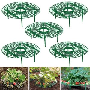 medoore 5 pack strawberry supports, adjustable strawberry growing racks plant climbing rack vine pillar garden stand balcony vegetable rack for keeping fruit elevated to avoid ground rot