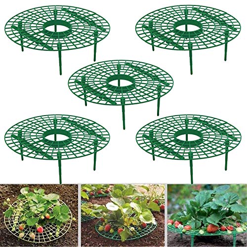 Medoore 5 Pack Strawberry Supports, Adjustable Strawberry Growing Racks Plant Climbing Rack Vine Pillar Garden Stand Balcony Vegetable Rack for Keeping Fruit Elevated to Avoid Ground Rot