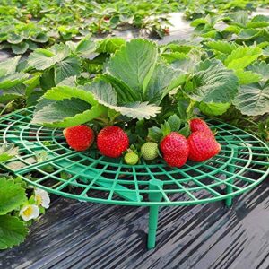 Medoore 5 Pack Strawberry Supports, Adjustable Strawberry Growing Racks Plant Climbing Rack Vine Pillar Garden Stand Balcony Vegetable Rack for Keeping Fruit Elevated to Avoid Ground Rot