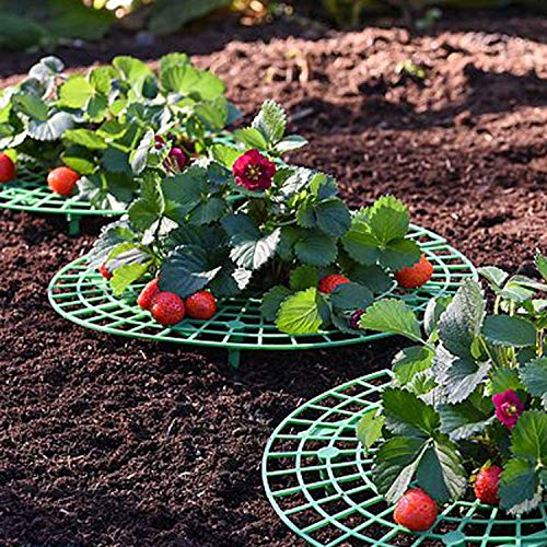 Medoore 5 Pack Strawberry Supports, Adjustable Strawberry Growing Racks Plant Climbing Rack Vine Pillar Garden Stand Balcony Vegetable Rack for Keeping Fruit Elevated to Avoid Ground Rot