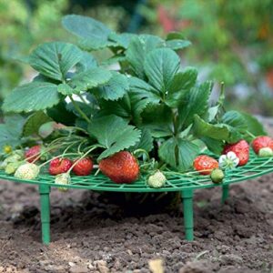 Medoore 5 Pack Strawberry Supports, Adjustable Strawberry Growing Racks Plant Climbing Rack Vine Pillar Garden Stand Balcony Vegetable Rack for Keeping Fruit Elevated to Avoid Ground Rot