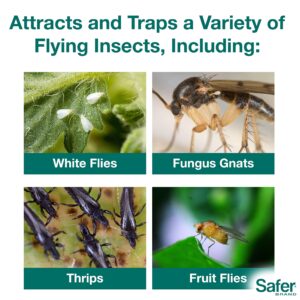 safer brand 5026 houseplant sticky stake insect traps for indoor plants – controls fungus gnats, whiteflies, midges, thrips, fruit flies, and black flies – 1 pack, 7 traps