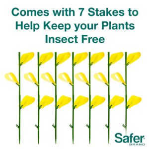 Safer Brand 5026 Houseplant Sticky Stake Insect Traps for Indoor Plants - Controls Fungus Gnats, Whiteflies, Midges, Thrips, Fruit Flies, and Black Flies - 1 Pack, 7 Traps