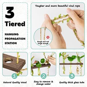 Grovind Propagation Stations, 3 Tier Large Wall Hanging Plant Terrarium with Wooden Stand Retro Propagation Station Test Tubes for Hydroponic Indoor Plants Cutting Planter for Home Garden Office Decor