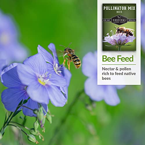 Survival Garden Seeds - Bee Pollinator Mix Seed for Planting - Packet with Instructions to Plant and Grow Annual & Perennial Flowers to Feed Bees in Your Home Garden - Non-GMO Heirloom Varieties