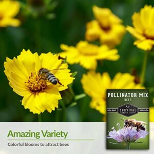 Survival Garden Seeds - Bee Pollinator Mix Seed for Planting - Packet with Instructions to Plant and Grow Annual & Perennial Flowers to Feed Bees in Your Home Garden - Non-GMO Heirloom Varieties