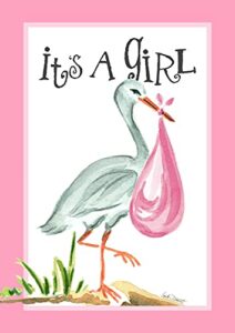 toland home garden 1110215 it’s a girl baby girl flag 12×18 inch double sided baby girl garden flag for outdoor house gender flag yard decoration