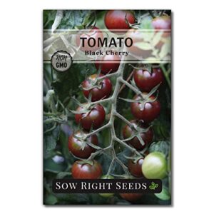sow right seeds – black cherry tomato seed for planting – non-gmo heirloom packet with instructions to plant a home vegetable garden – great gardening gift (1)