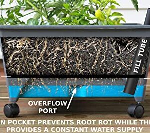 Emsco Group City Picker Raised Bed Grow Box – Self Watering and Improved Aeration – Mobile Unit with Casters - Slate