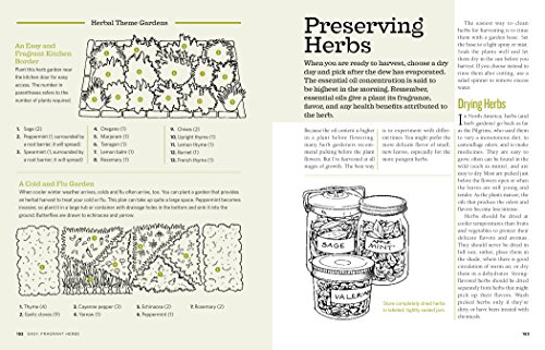 The Backyard Homestead: Produce all the food you need on just a quarter acre!