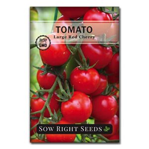 sow right seeds – large red cherry tomato seed for planting – non-gmo heirloom packet with instructions to plant a home vegetable garden – great gardening gift (1)
