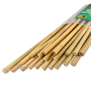 jollybower 20pcs 5/8″ d thicker heavy duty bamboo stakes, 6ft plant stakes, natural garden stakes for tomato, bean, flowers,trees potted and climbing plant support