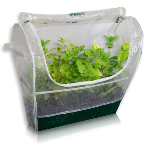 HOMEGROWN-PRO Portable Mini Indoor Greenhouse - Perfect Greenhouses for Outdoors & Indoors Gardening, 24''x22''x12'' Small & Heavy Duty Green Houses for Outside - Ideal Green House Planter for Herbs