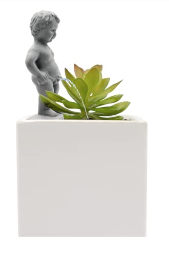 NPW-USA Plant Life Pee My Plants, Garden Statue, Color-Stone