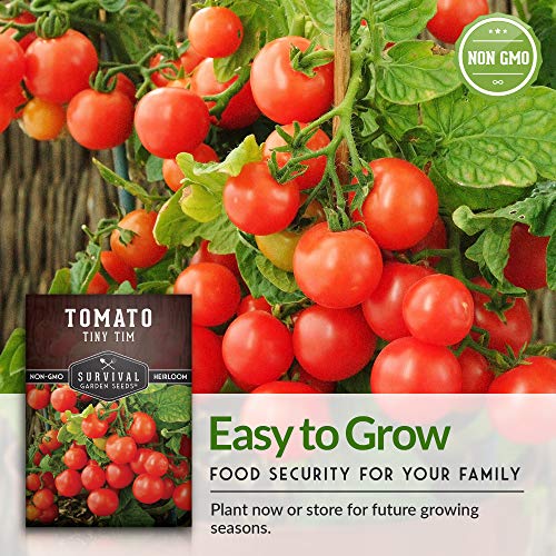 Survival Garden Seeds - Tiny Tim Tomato Seed for Planting - Packet with Instructions to Plant and Grow in Your Home Vegetable Garden - Non-GMO Heirloom Variety