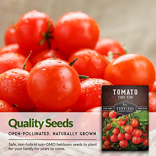 Survival Garden Seeds - Tiny Tim Tomato Seed for Planting - Packet with Instructions to Plant and Grow in Your Home Vegetable Garden - Non-GMO Heirloom Variety