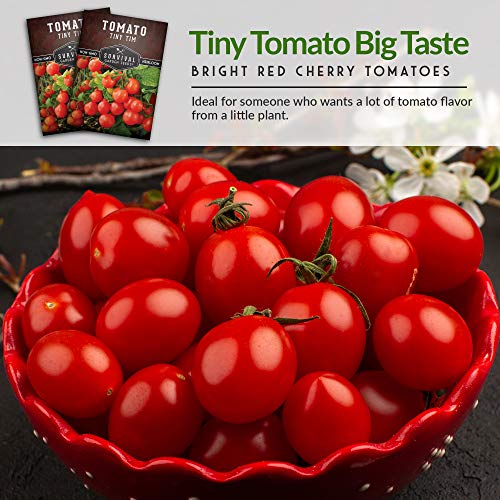 Survival Garden Seeds - Tiny Tim Tomato Seed for Planting - Packet with Instructions to Plant and Grow in Your Home Vegetable Garden - Non-GMO Heirloom Variety