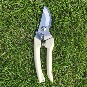 Professional Garden Scissors, Stainless Steel Bypass Pruning Shears, Garden Shears, Gardening Tools (1Pack )