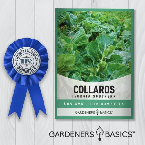 Collard Greens Seeds for Planting - Georgia Southern Non-GMO Vegetable Variety- 1 Gram Seeds Great for Summer, Fall and Winter Gardens by Gardeners Basics