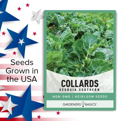 Collard Greens Seeds for Planting - Georgia Southern Non-GMO Vegetable Variety- 1 Gram Seeds Great for Summer, Fall and Winter Gardens by Gardeners Basics