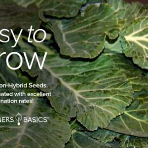 Collard Greens Seeds for Planting - Georgia Southern Non-GMO Vegetable Variety- 1 Gram Seeds Great for Summer, Fall and Winter Gardens by Gardeners Basics