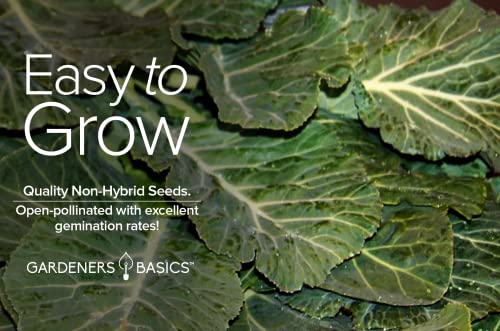 Collard Greens Seeds for Planting - Georgia Southern Non-GMO Vegetable Variety- 1 Gram Seeds Great for Summer, Fall and Winter Gardens by Gardeners Basics