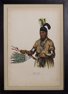 naw-kaw, a winnebago chief