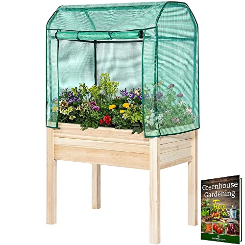 BACKYARD EXPRESSIONS PATIO · HOME · GARDEN 906533 Elevated Gardening Bed with Green House Cover-36L x24W x 66H-Backyard Expressions, Natural Wood