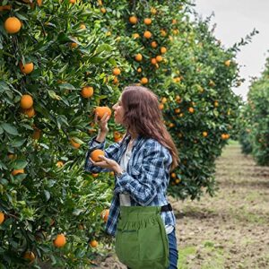 codree Harvesting and Weeding Apron-Adjustable Garden Harvest Apron with 4 Pockets Handsfree-Gardeners Picking Apron Bag for Gathering Vegetables Fruit Berry Eggs Weeding