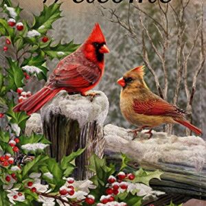 Selmad Home Decorative Merry Christmas Cardinal Garden Flag Welcome Winter Double Sided, Rustic Quote Red Birds House Yard Flag for Xmas, Outside New Year Holly Berry Vintage Outdoor Decorations 12x18
