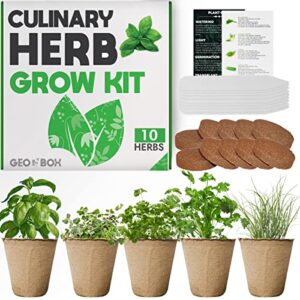 herb garden indoor herb garden starter kit easily grow 10 herbs seeds – indoor herb planters – herb garden growing kit – grow basil, cilantro, chives, arugula and more – gardening gifts
