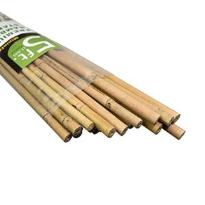 mininfa natural bamboo stakes 5 feet, eco-friendly garden stakes, plant stakes supports climbing for tomatoes, trees, beans, 20 pack
