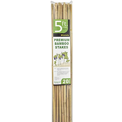 Mininfa Natural Bamboo Stakes 5 Feet, Eco-Friendly Garden Stakes, Plant Stakes Supports Climbing for Tomatoes, Trees, Beans, 20 Pack