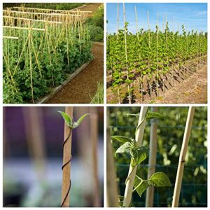 Mininfa Natural Bamboo Stakes 5 Feet, Eco-Friendly Garden Stakes, Plant Stakes Supports Climbing for Tomatoes, Trees, Beans, 20 Pack